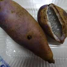 旬の食材仕入れ「あけび」「柿」「菊芋」「バターナッツかぼちゃ」