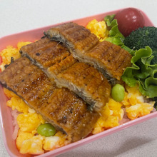 お弁当の詰め方はナナメが大事!