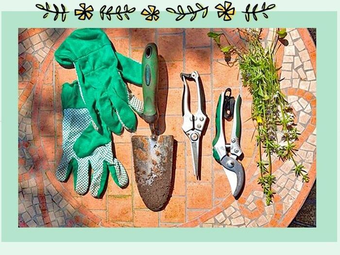 【初心者向け】お庭がなくても野菜ができる「プランター菜園」part2~道具と土~