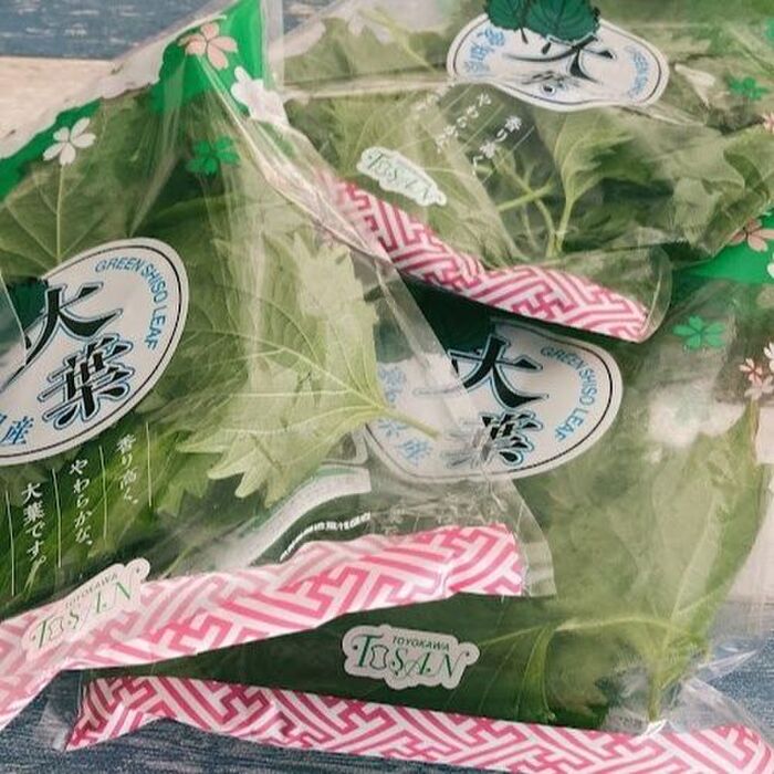 大量の大葉、どう保存する?すき間で2週間長持ちするおすすめの方法