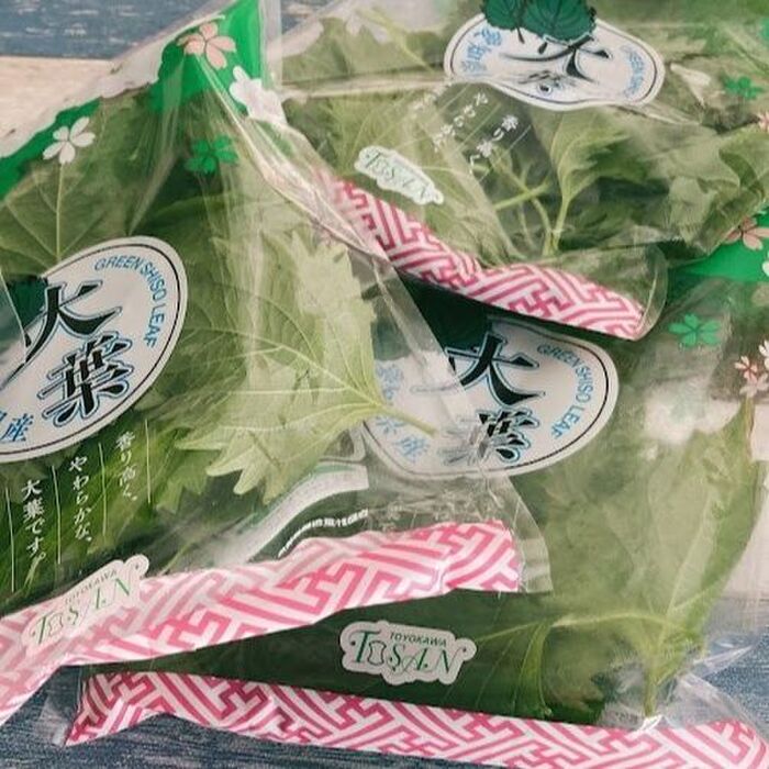 大量の大葉、どう保存する？すき間で2週間長持ちするおすすめの方法