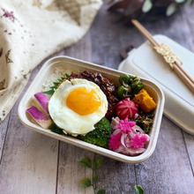 キャベツの千切りでかさ増し!ハンバーグ弁当