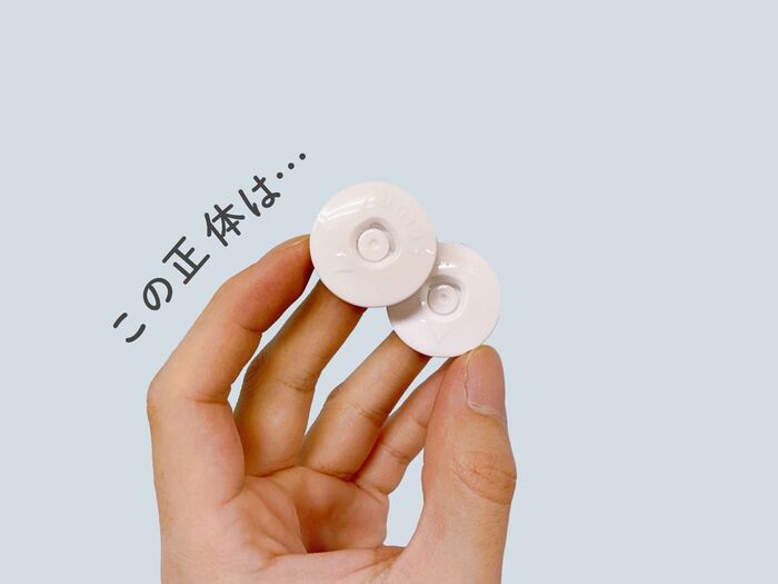 一体何に使う?DAISOでニッチなアイテムを発見