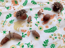 どんぐりを拾ったら必ずやらないと悲劇かも