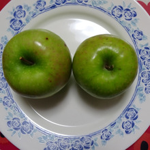 酸味が強くアップルパイ専用!!