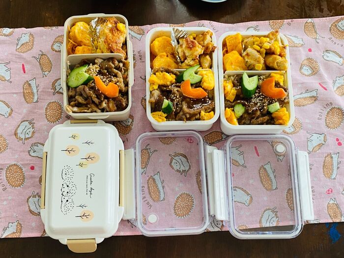 お弁当の詰め方は、おかずを縦てて!立体的に♪