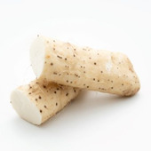 とろろも冷凍してOK?ながいもの保存方法3選!