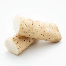 とろろも冷凍してOK?ながいもの保存方法3選!