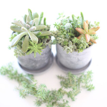 人生でやりたい事リストを書くことは、行動・実現への第1歩