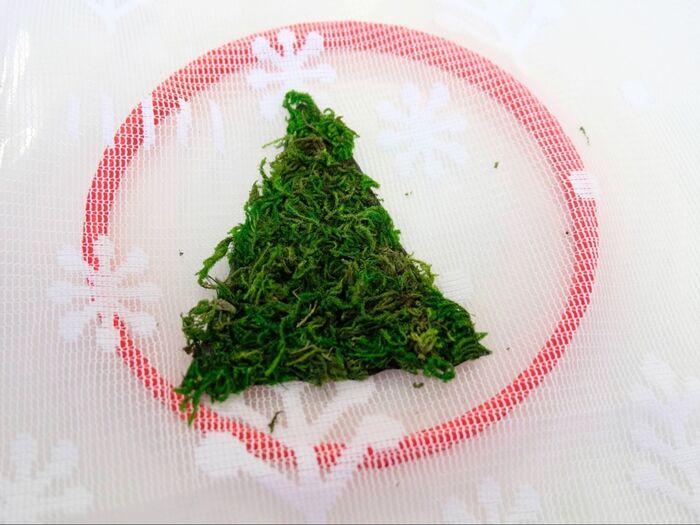 レースに土台のグリーンを貼ります