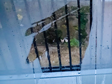 窓の結露拭きにはコレ!なんで今まで気づかなかったんだろう〜