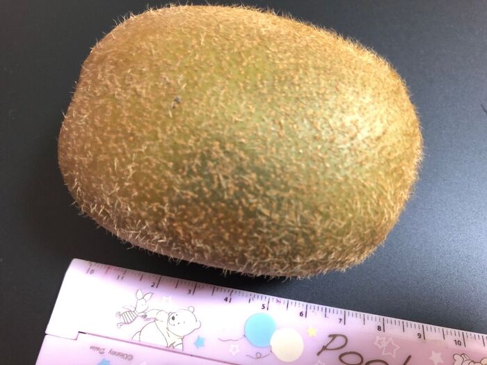 サイズがなんと1個8cmもあります