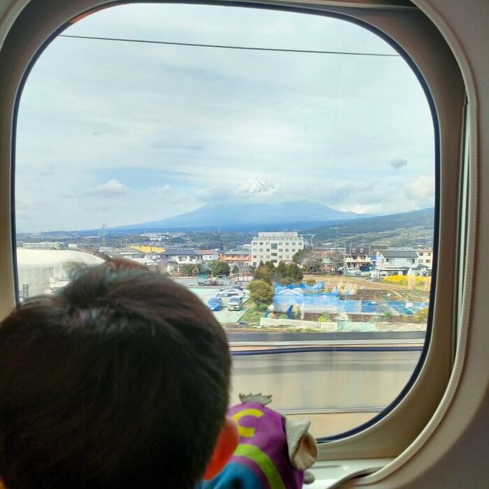 あまり使っていない物☆旅行した、美味しいもの食べた!と思い込む。