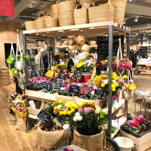 関東最大級「無印良品 板橋南町22」に行ってきました♪