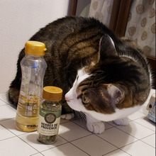 ´22 お気に入り調味料*わたし的ベスト3