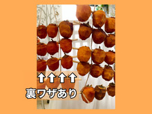 家の中で1週間!めっちゃ美味い【干し柿】出来ました♡焼酎なし♪