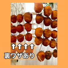 家の中で1週間!めっちゃ美味い【干し柿】出来ました♡焼酎なし♪