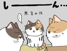ソコにいられると…【てらねこミー子の日常】