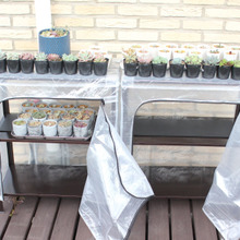 多肉植物を越冬させるためのおうちはコレ!