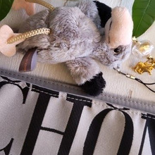 フォションのサブバッグ(トートバッグ)♡便利だと思ったこと