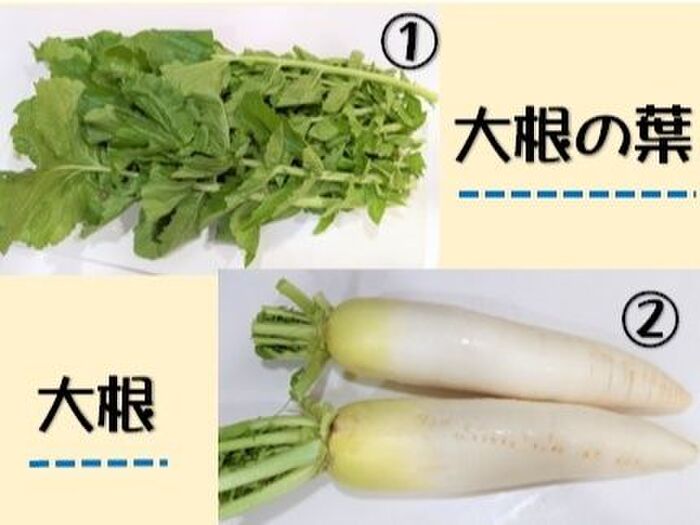 捨てるところがないね!大根って