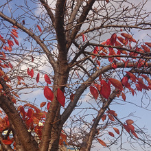 『落ちているゴミを拾う』というお話!!