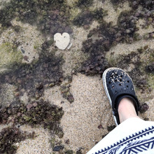 不思議な3つのハート♡珊瑚は希望・幸福を意味します【ハッピーなハート3選】