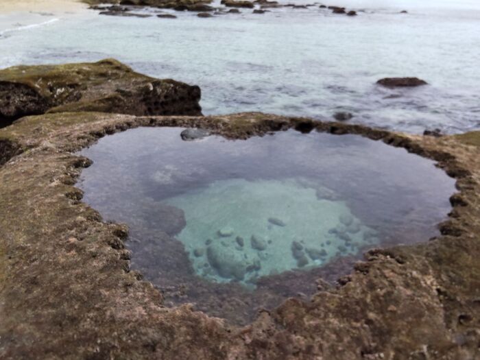 こちらなんです!潮の満ち引きの→引いた際に現れる潮だまり!
