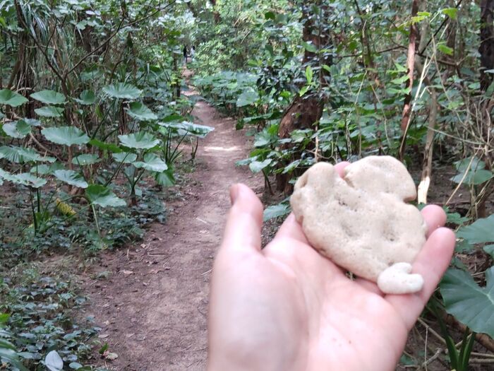 【3位】あれ!また、小さなハートが…