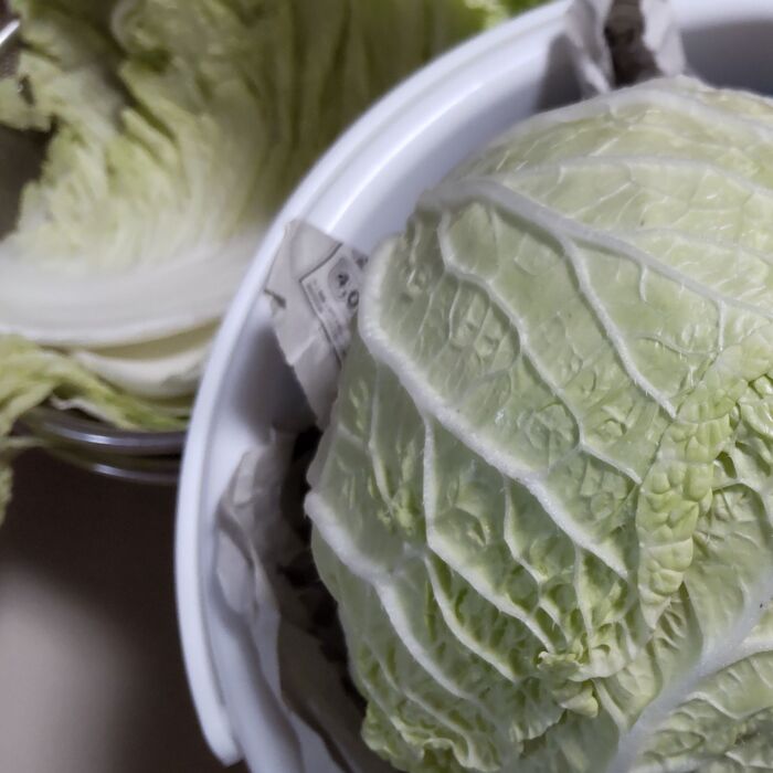 寒い時期だから「白菜」は家の涼しい場所で保存できる・・・