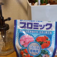 植物喜ぶ♡置くだけの肥料♡いろいろな植物用!