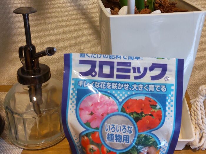 植物喜ぶ♡置くだけの肥料♡いろいろな植物用!