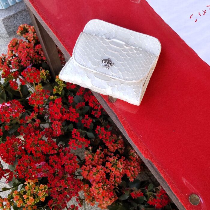 参拝用のお財布を今回も持ってゆきました!