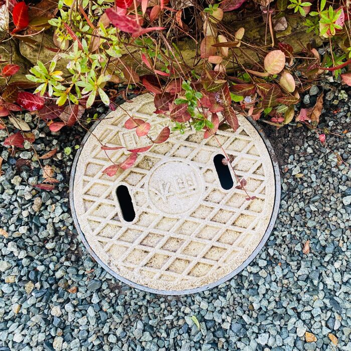 やりたくない庭の掃除ですが、雨水枡が綺麗だと庭が生き返ったみたい!
