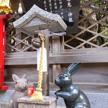 パワースポット♡うさぎゆかりの神社!うさぎと龍を撫でて開運を授かろう♪