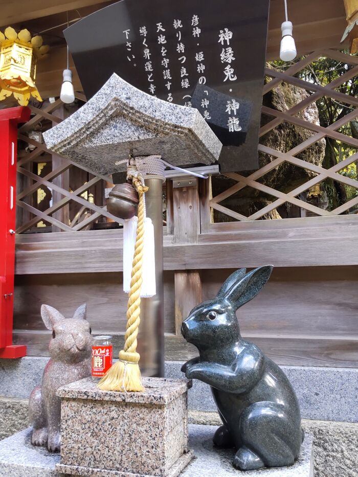 パワースポット♡うさぎゆかりの神社!うさぎと龍を撫でて開運を授かろう♪