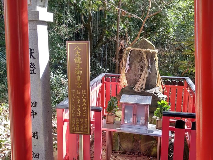 本殿の奥には八大龍王様も居らっしゃいますよ!