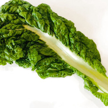 【かつお菜】って知ってる?「洗い方」と「レンジでできるご飯のお供」もご紹介♡