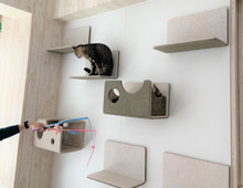 自由に動かせるキャットウォークすご!今年こそ「猫壁(にゃんぺき)」導入しちゃおうかな♡