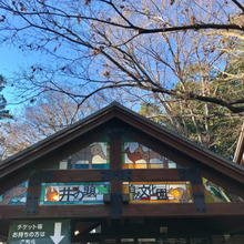 【吉祥寺ぶらり♪】井の頭自然文化園→マリメッコ吉祥寺店→骨董食器店