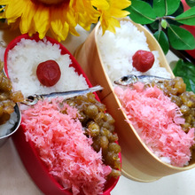 となりのトトロ【サツキが作ったお弁当】ジブリ飯をお家de作ろう!試してみたよ♪