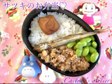 サツキのお弁当作ってみました♪