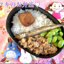 サツキのお弁当作ってみました♪