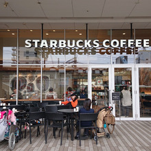 本日のキャフェ Starbucks Coffee 阪神御影クラッセ店