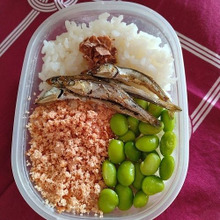 『となりのトトロ』成長したサツキを想像して作ったお弁当