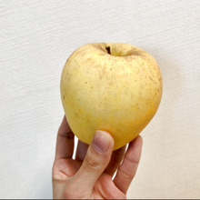 その名は【はるか】