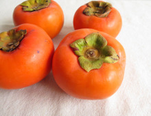 ぐじゅっとした柿もめちゃうま!JA全農発信のあっと驚く意外な方法でおいしく食べ切ろう