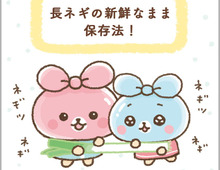 長ネギ買ったら最初にやってみてー! シャキシャキ新鮮なネギがエブリディ使えましゅよ♡|コミミちゃん