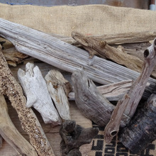 流木王国 in 須磨海岸