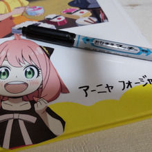 【絵本の油性マジックペンの名前の簡単な消し方】店員さんから伝授の知恵です!断捨離de本を譲る前に!